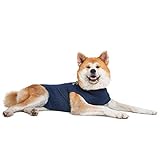 MPS Medical Pet Shirt, Perro, Azul, XL